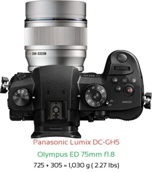 Panasonic GH5 with Olympus ED 75mm f1.8 Lens Size
