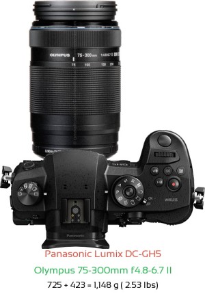 Panasonic GH5 with Olympus 75-300mm f4.8-6.7 II Lens Size