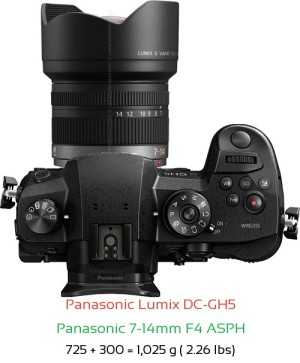 Panasonic GH5 with Panasonic 7-14mm F4 ASPH Lens Size