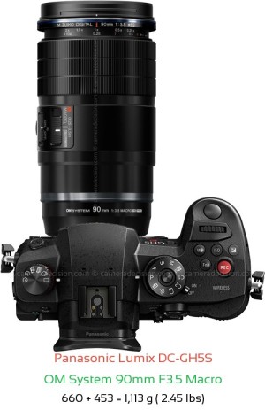 Panasonic GH5S with OM System 90mm F3.5 Macro Lens Size