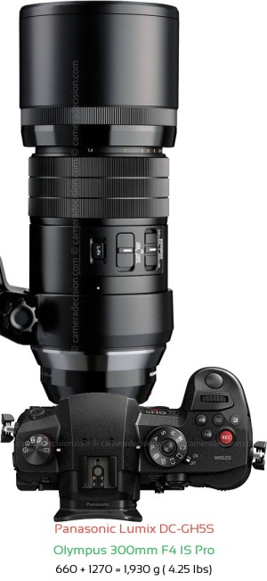 Panasonic GH5S with Olympus 300mm F4 IS Pro Lens Size