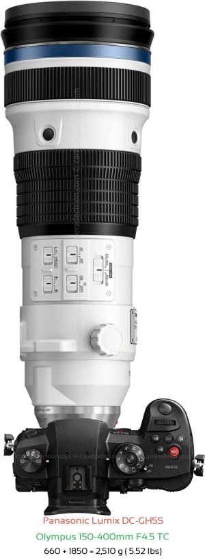 Panasonic GH5S with Olympus 150-400mm F4.5 TC Lens Size