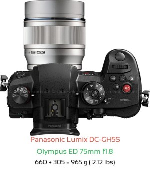 Panasonic GH5S with Olympus ED 75mm f1.8 Lens Size