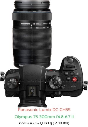 Panasonic GH5S with Olympus 75-300mm f4.8-6.7 II Lens Size