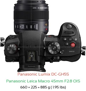 Panasonic GH5S with Panasonic Leica Macro 45mm F2.8 OIS Lens Size