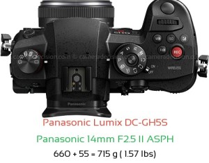 Panasonic GH5S with Panasonic 14mm F2.5 II ASPH Lens Size
