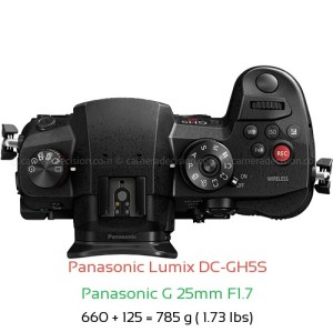 Panasonic GH5S with Panasonic G 25mm F1.7 Lens Size