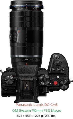 Panasonic GH6 with OM System 90mm F3.5 Macro Lens Size
