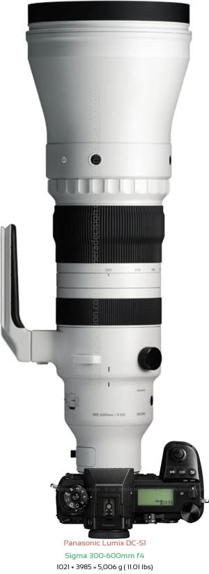 Panasonic S1 with Sigma 300-600mm f4 Lens Size
