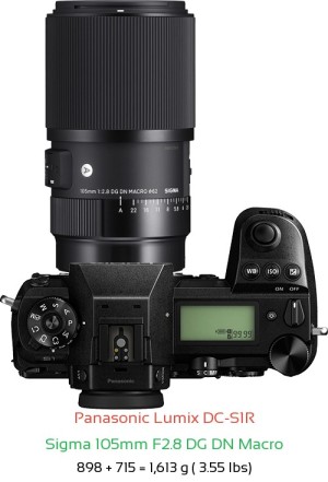 Panasonic S1R with Sigma 105mm F2.8 DG DN Macro Lens Size