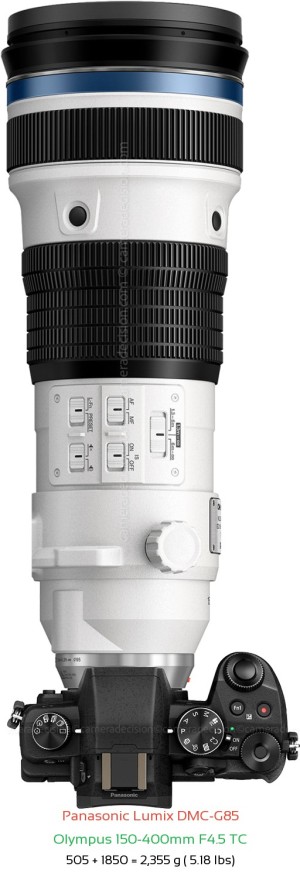 Panasonic G85 with Olympus 150-400mm F4.5 TC Lens Size