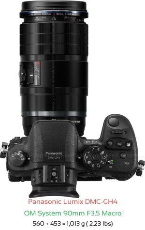 Panasonic GH4 with OM System 90mm F3.5 Macro Lens Size