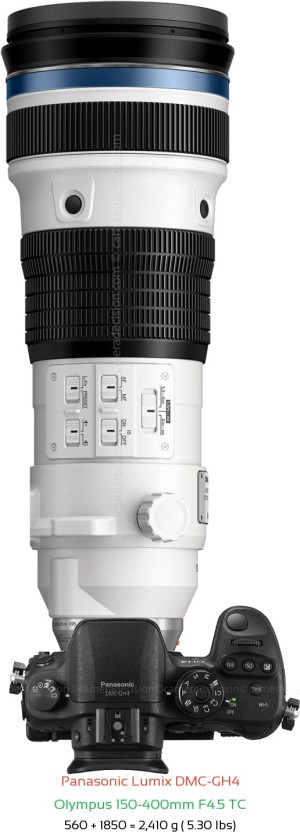 Panasonic GH4 with Olympus 150-400mm F4.5 TC Lens Size