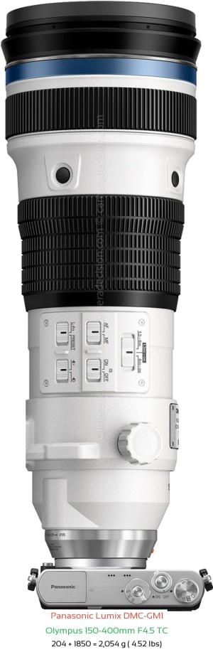 Panasonic GM1 with Olympus 150-400mm F4.5 TC Lens Size