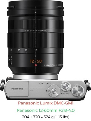 Panasonic GM1 with Panasonic 12-60mm F2.8-4.0 Lens Size