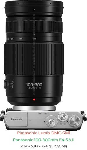 Panasonic GM1 with Panasonic 100-300mm F4-5.6 II Lens Size