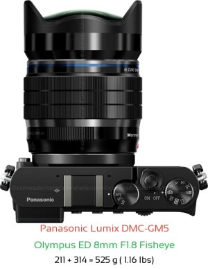 Panasonic GM5 with Olympus ED 8mm F1.8 Fisheye Lens Size