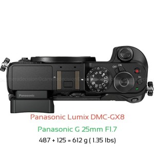 Panasonic GX8 with Panasonic G 25mm F1.7 Lens Size
