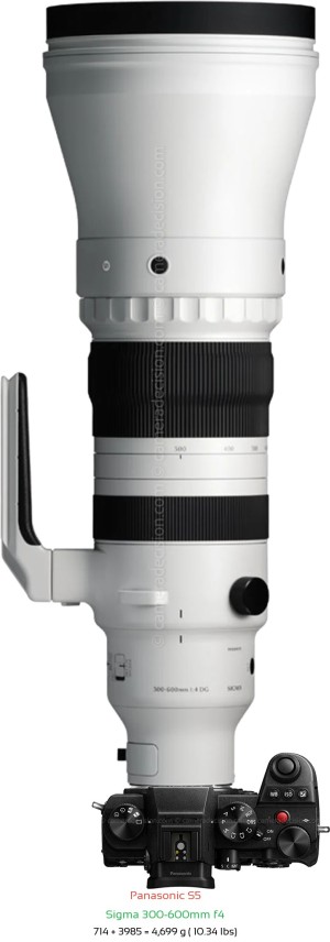 Panasonic S5 with Sigma 300-600mm f4 Lens Size