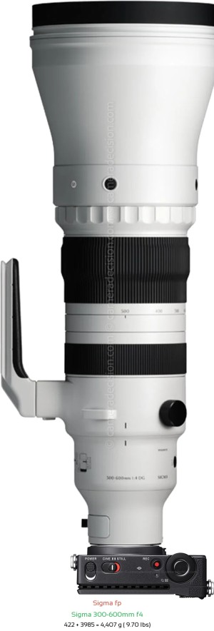 Sigma fp with Sigma 300-600mm f4 Lens Size