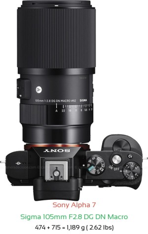 Sony A7 with Sigma 105mm F2.8 DG DN Macro Lens Size