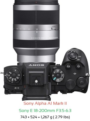 Sony A1 II with Sony E 18-200mm F3.5-6.3 Lens Size