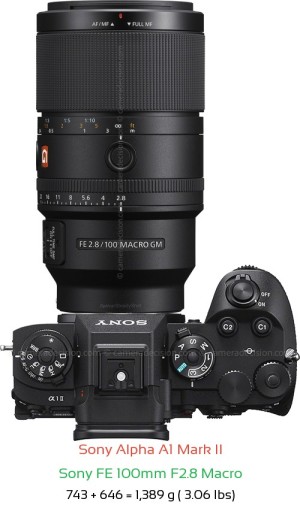 Sony A1 II with Sony FE 100mm F2.8 Macro Lens Size