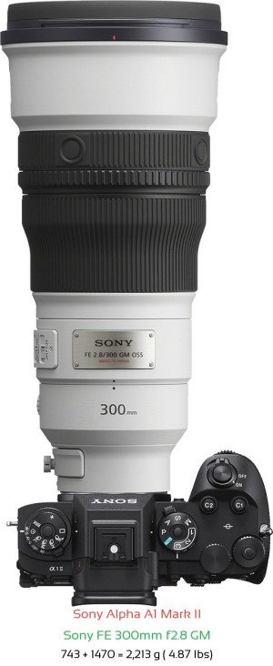 Sony A1 II with Sony FE 300mm f2.8 GM Lens Size