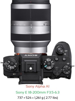 Sony A1 with Sony E 18-200mm F3.5-6.3 Lens Size