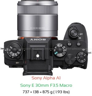 Sony A1 with Sony E 30mm F3.5 Macro Lens Size