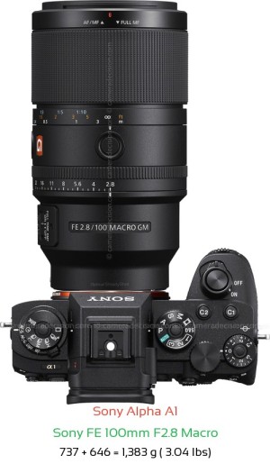 Sony A1 with Sony FE 100mm F2.8 Macro Lens Size