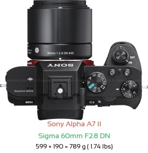 Sony A7 II with Sigma 60mm F2.8 DN Lens Size
