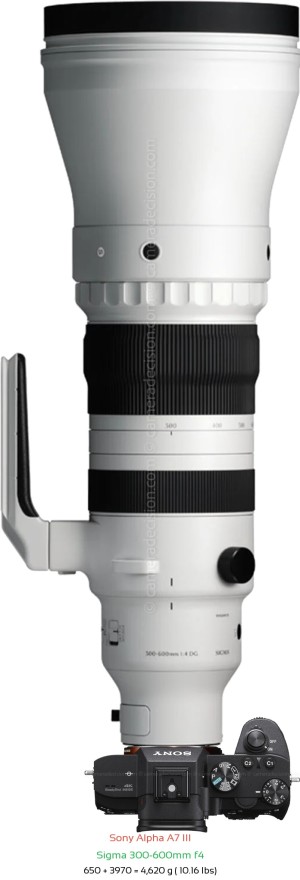 Sony A7 III with Sigma 300-600mm f4 Lens Size