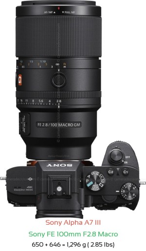 Sony A7 III with Sony FE 100mm F2.8 Macro Lens Size