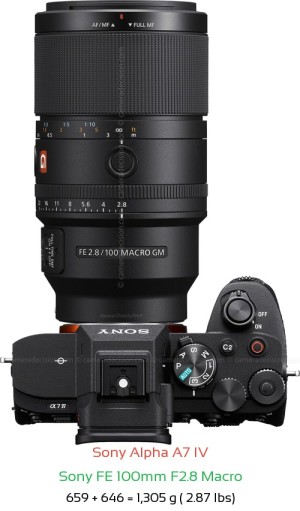Sony A7 IV with Sony FE 100mm F2.8 Macro Lens Size