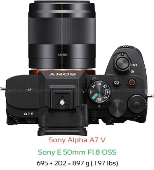 Sony A7 V with Sony E 50mm F1.8 OSS Lens Size