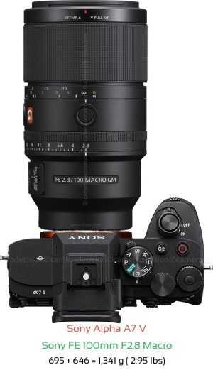 Sony A7 V with Sony FE 100mm F2.8 Macro Lens Size