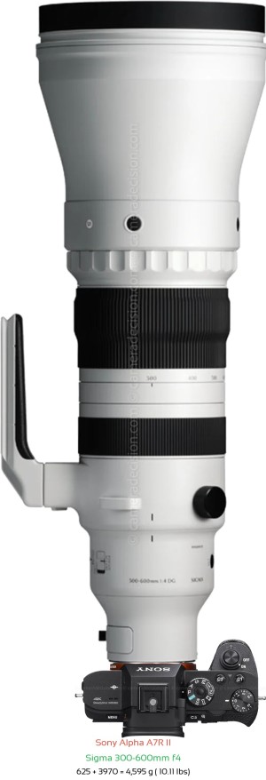 Sony A7R II with Sigma 300-600mm f4 Lens Size