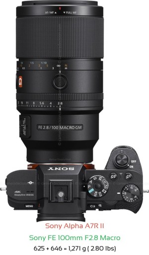 Sony A7R II with Sony FE 100mm F2.8 Macro Lens Size