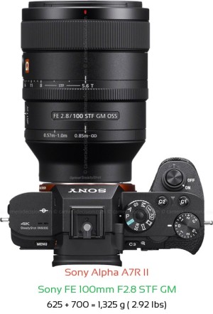 Sony A7R II with Sony FE 100mm F2.8 STF GM Lens Size