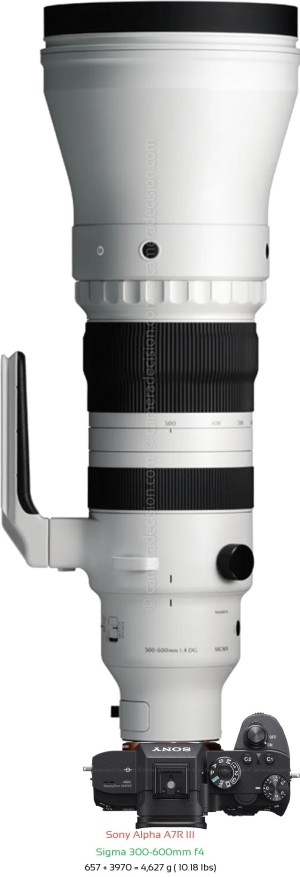 Sony A7R III with Sigma 300-600mm f4 Lens Size