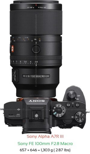 Sony A7R III with Sony FE 100mm F2.8 Macro Lens Size