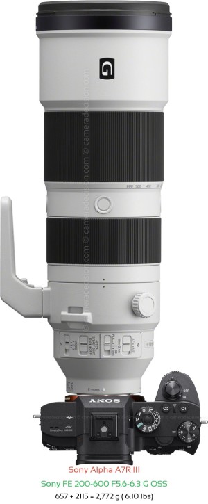 Sony A7R III with Sony FE 200-600 F5.6-6.3 Lens Size