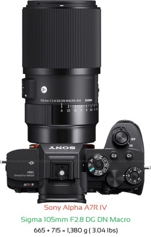 Sony A7R IV with Sigma 105mm F2.8 DG DN Macro Lens Size