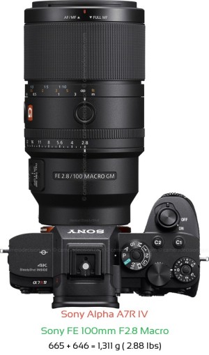 Sony A7R IV with Sony FE 100mm F2.8 Macro Lens Size