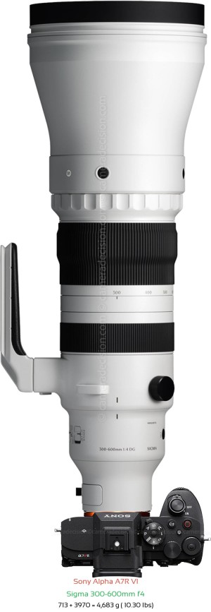 Sony A7R VI with Sigma 300-600mm f4 Lens Size