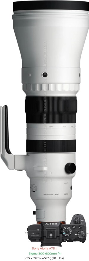 Sony A7S II with Sigma 300-600mm f4 Lens Size