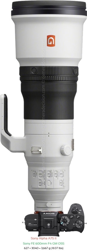 Sony A7S II with Sony FE 600mm F4 GM Lens Size