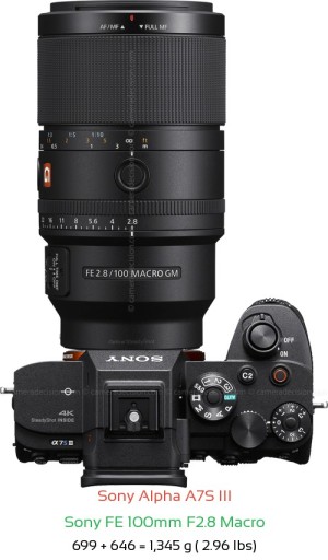 Sony A7S III with Sony FE 100mm F2.8 Macro Lens Size