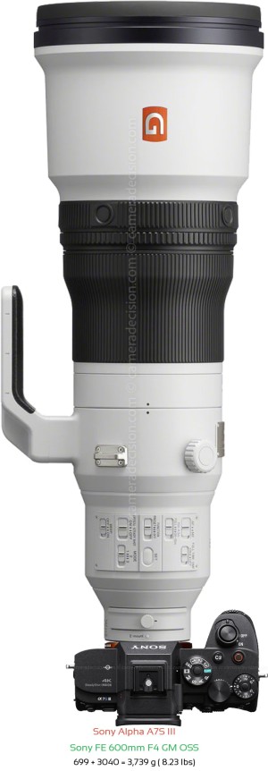 Sony A7S III with Sony FE 600mm F4 GM Lens Size